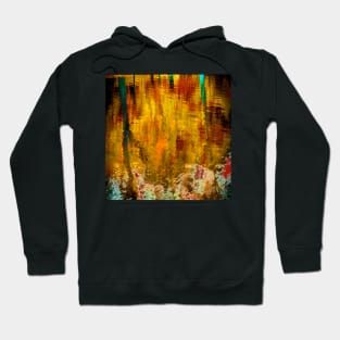 Reflections In a Pond #5 Hoodie